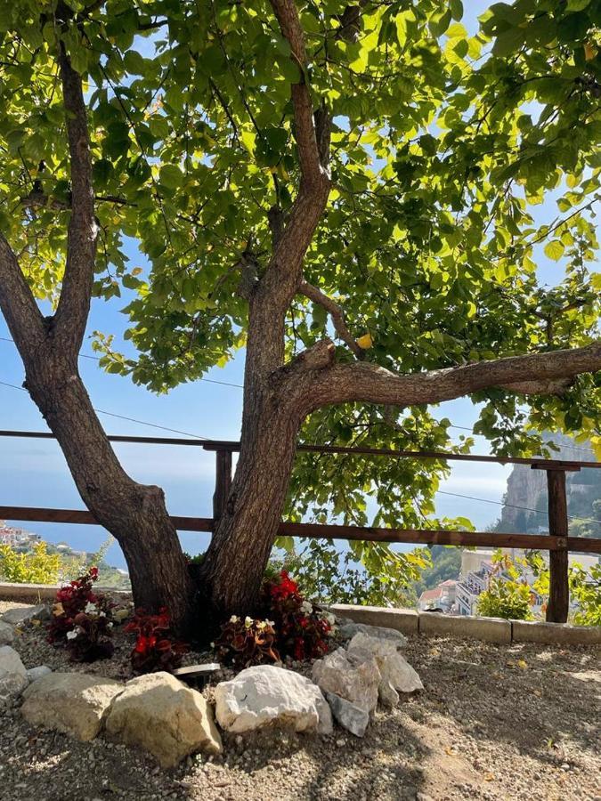 Casa Enzo Con Vista Mare Apartment Amalfi Exterior photo